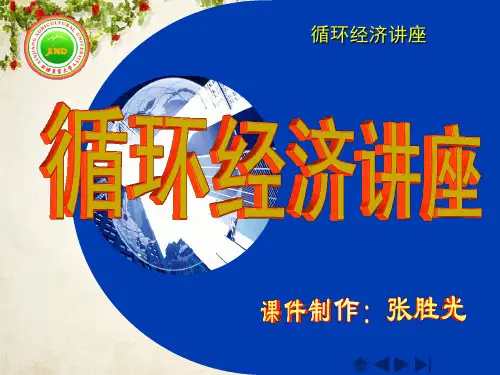 循环经济特征管理学与财务知识分析讲座(PPT 215页)