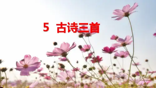 人教(部编版)寒食课件1