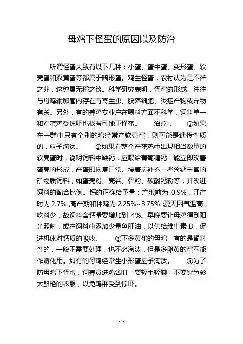 母鸡下怪蛋的原因以及防治