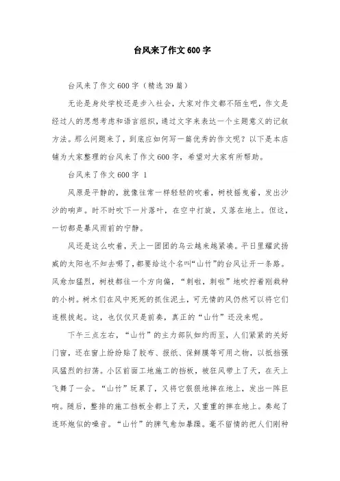 台风来了作文600字