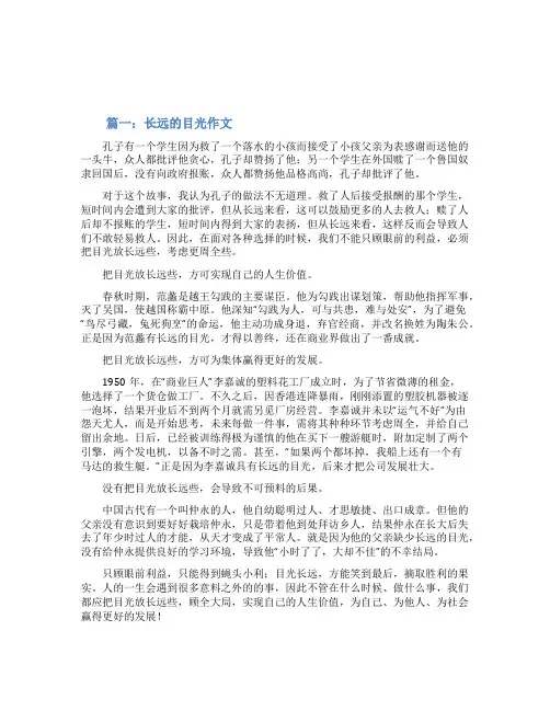 长远的目光作文