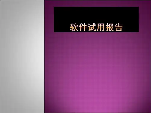 软件试用报告