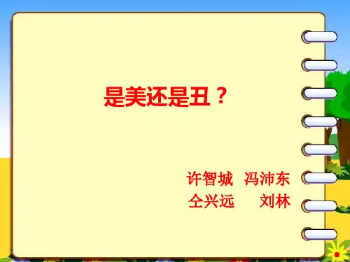 美与丑PPT