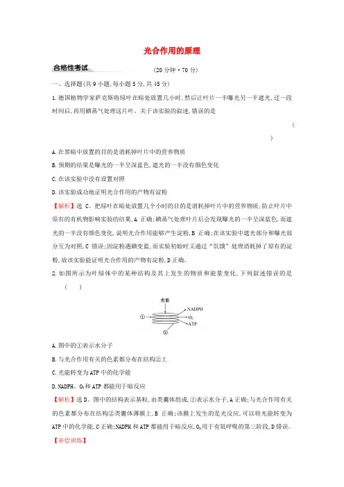 2020版新教材高中生物课时素养评价十九5.4光合作用与能量转化(二)1(含解析)新人教版必修1