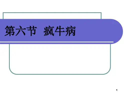 精选总结-疯牛病案例