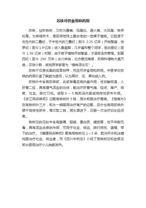 苏铁可供食用和药用