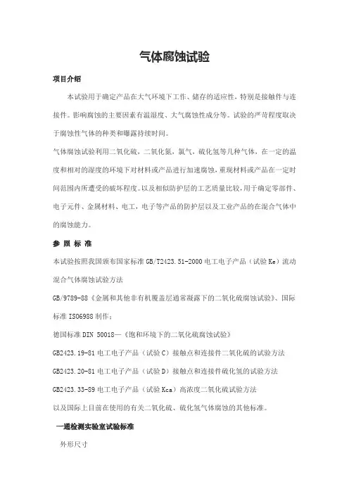 气体腐蚀试验
