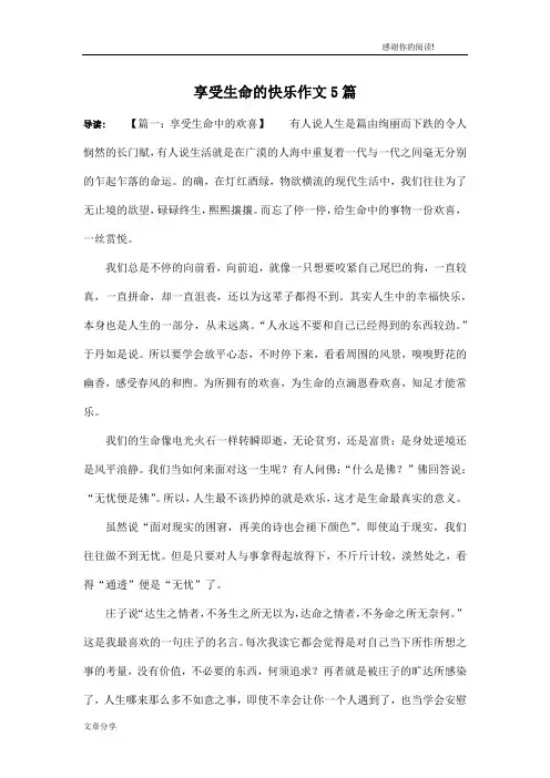 享受生命的快乐作文5篇