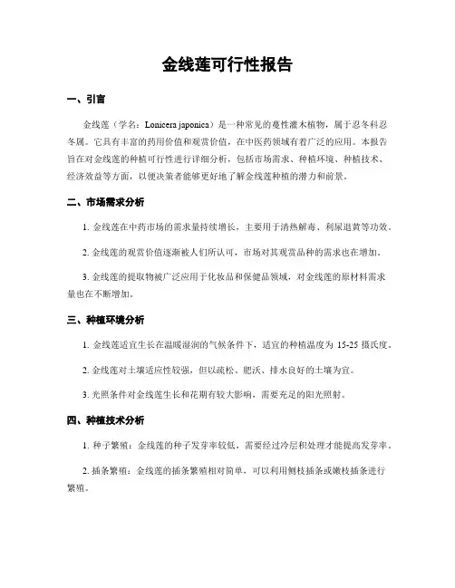 金线莲可行性报告
