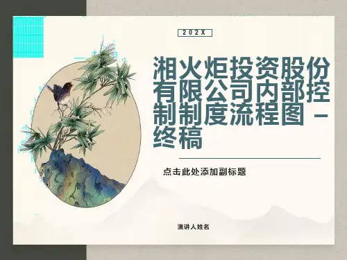 公司财务内部控制及流程图