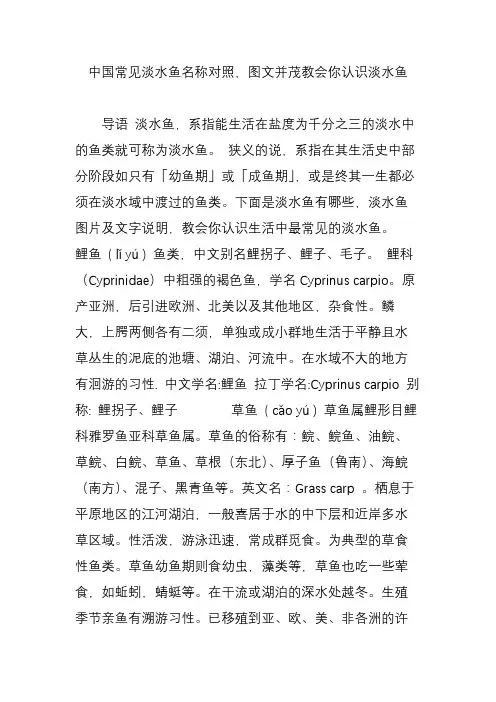 中国常见淡水鱼名称对照,图文并茂教会你认识淡水鱼