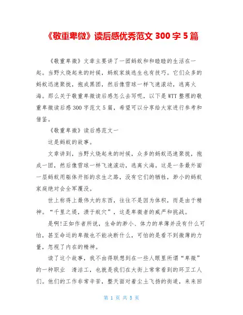 《敬重卑微》读后感优秀范文300字5篇