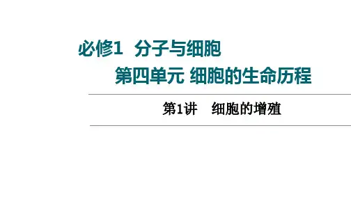 2022届高三一轮复习老高考人教版生物第4单元细胞的增殖PPT