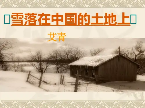 《雪落在中国的土地上》课件PPT