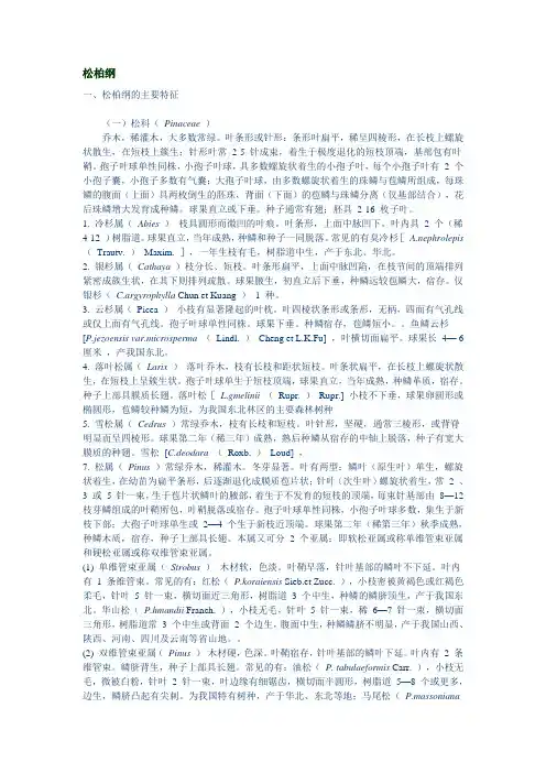 松柏纲