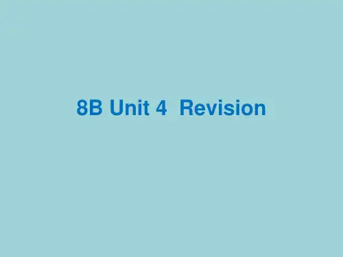 牛津译林版英语八年级下册  UNIT4 A good read 复习课件  44PPT