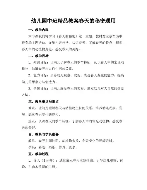 幼儿园中班精品教案春天的秘密通用