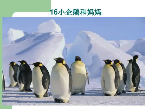 二年级上册16小企鹅和妈妈