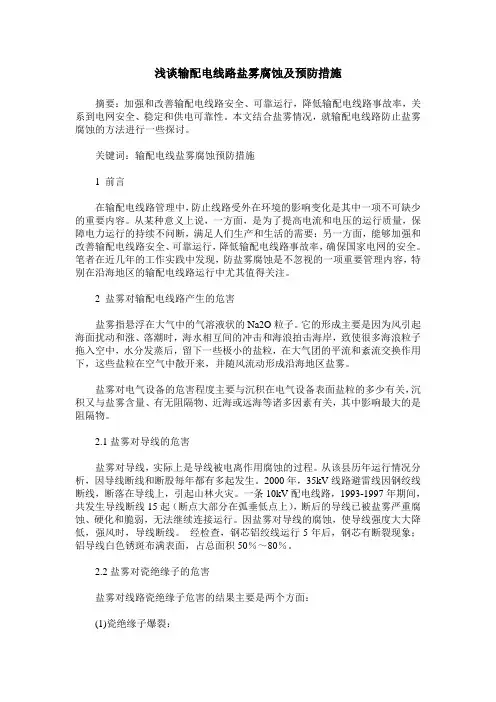 浅谈输配电线路盐雾腐蚀及预防措施