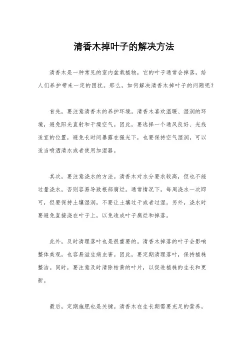 清香木掉叶子的解决方法