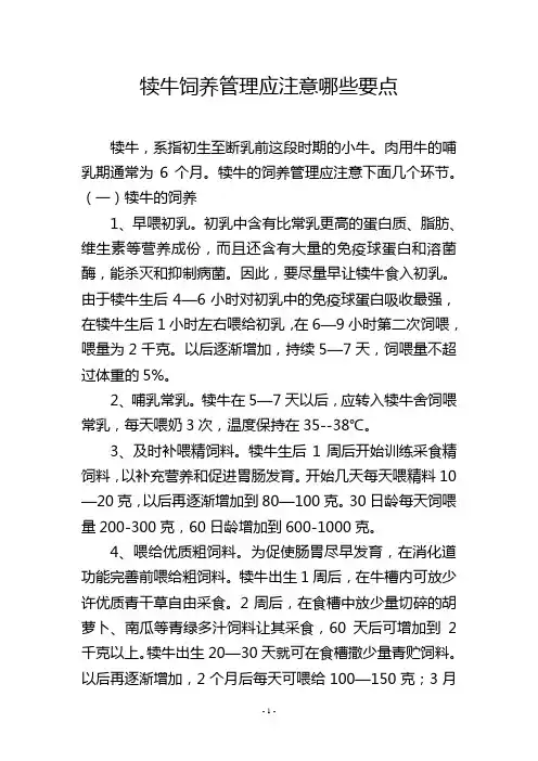 犊牛饲养管理应注意哪些要点
