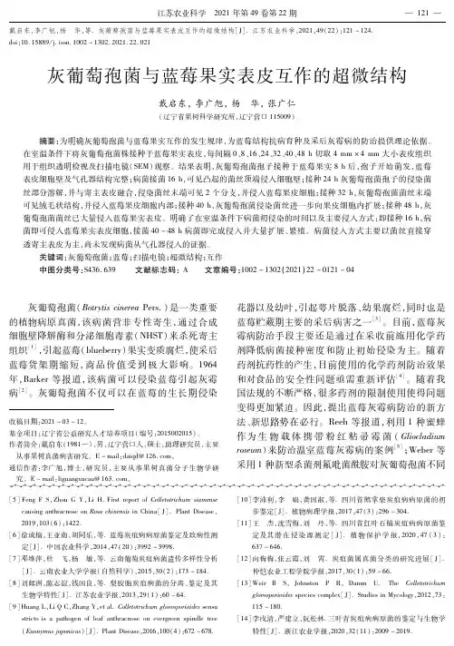 灰葡萄孢菌与蓝莓果实表皮互作的超微结构