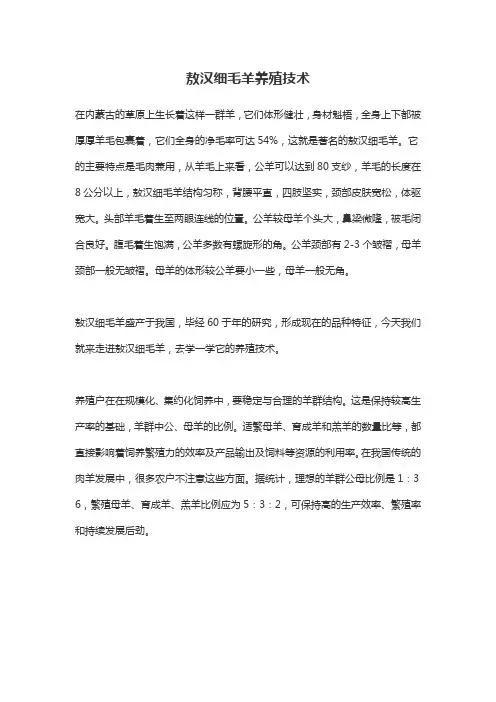 敖汉细毛羊养殖技术