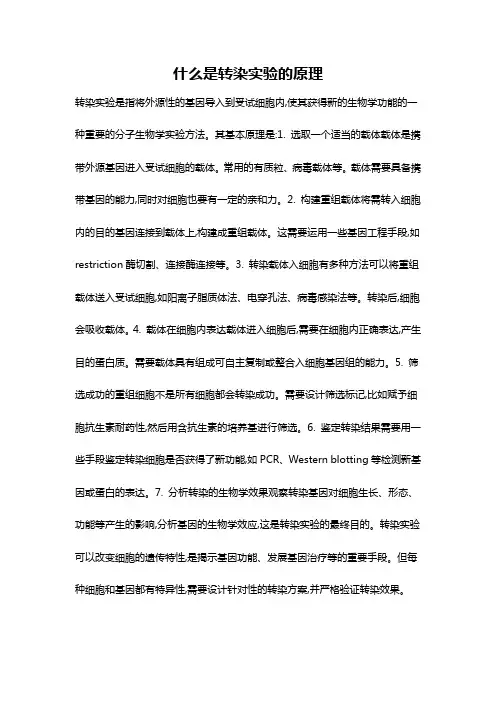 什么是转染实验的原理