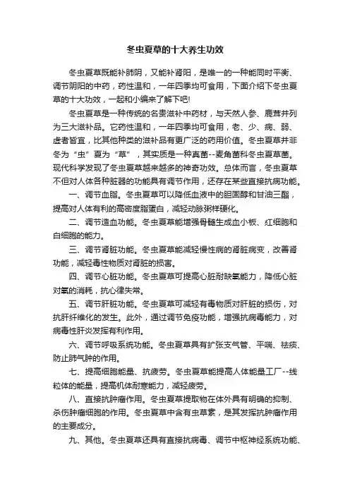 冬虫夏草的十大养生功效