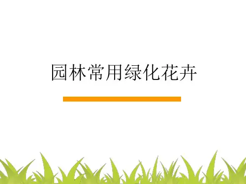 园林常用绿化花卉介绍(53张)PPT