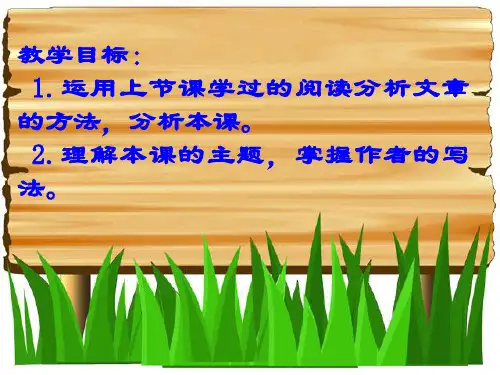 《废墟》