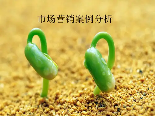 OPPO市场营销案例分析