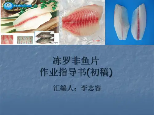 冻罗非鱼片加工作业指导书