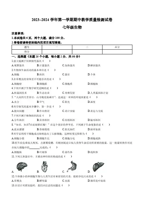 河南省洛阳市新安县2023-2024学年七年级上学期期中考试生物试卷(word版含答案)