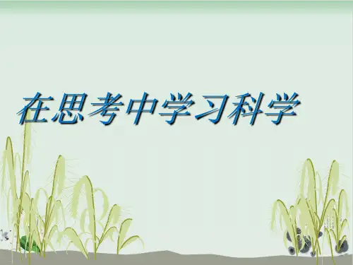 四年级下册科学课件油菜花开了教科版(共17张PPT)