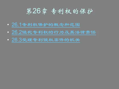 第26章  专利权的保护  《知识产权法》PPT课件
