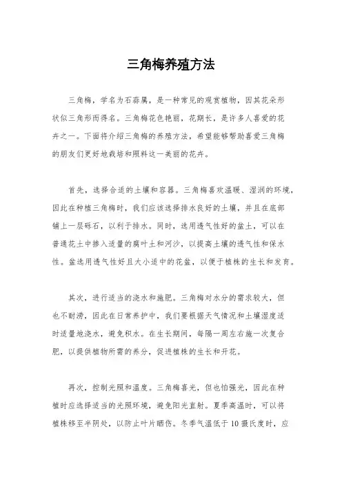 三角梅养殖方法