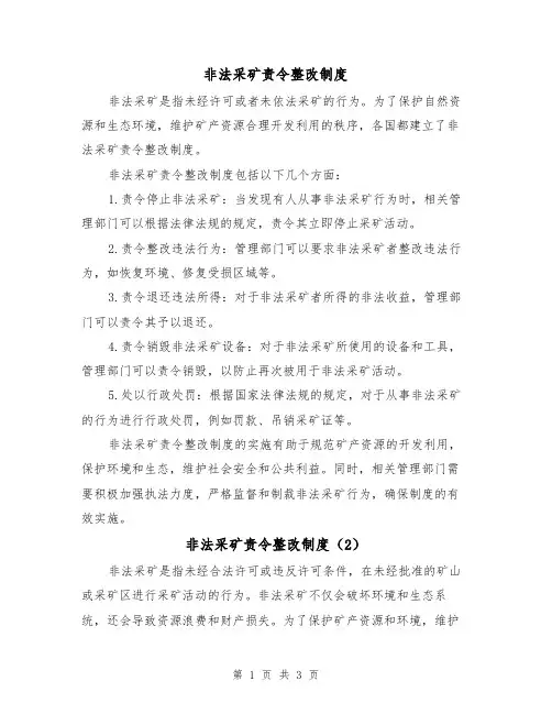 非法采矿责令整改制度（3篇）
