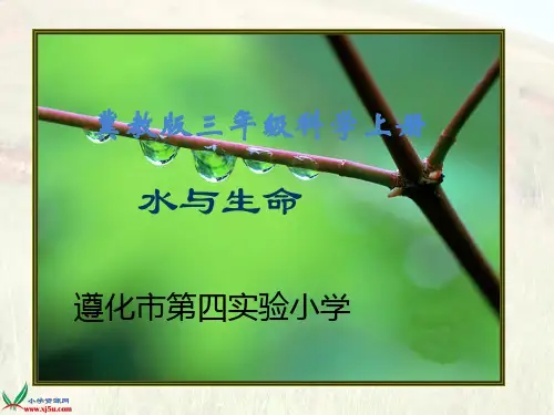 (冀教版)小学科学三上册《水与生命》PPT课件(同课异构)