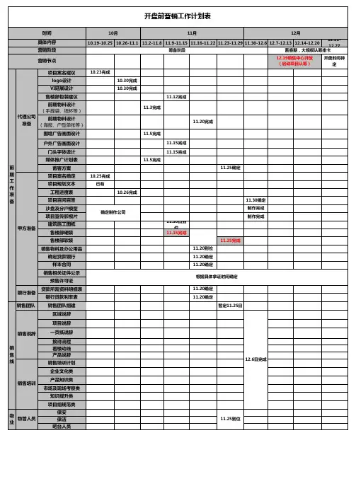 2019开盘前营销策划表