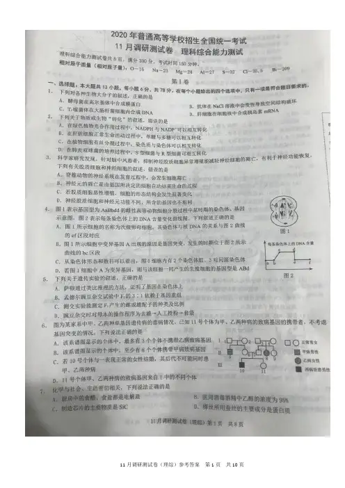 2020年高考调研考试(理科综合)试题及答案