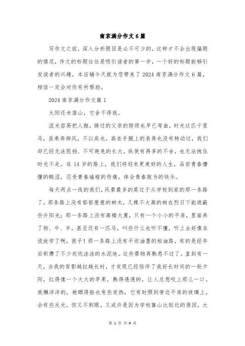 南京满分作文6篇