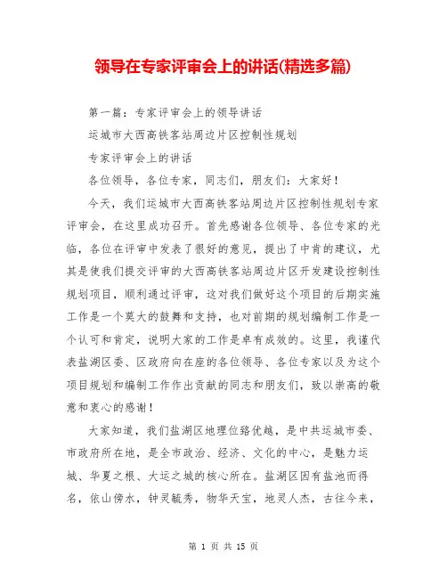 领导在专家评审会上的讲话(精选多篇)