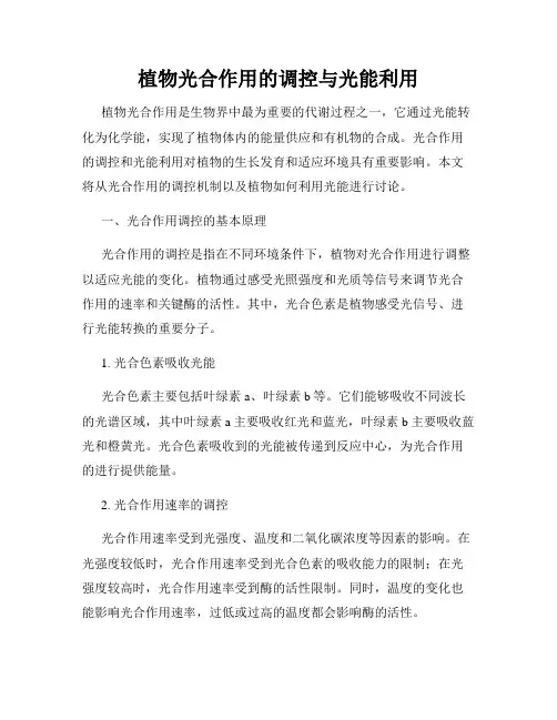 植物光合作用的调控与光能利用