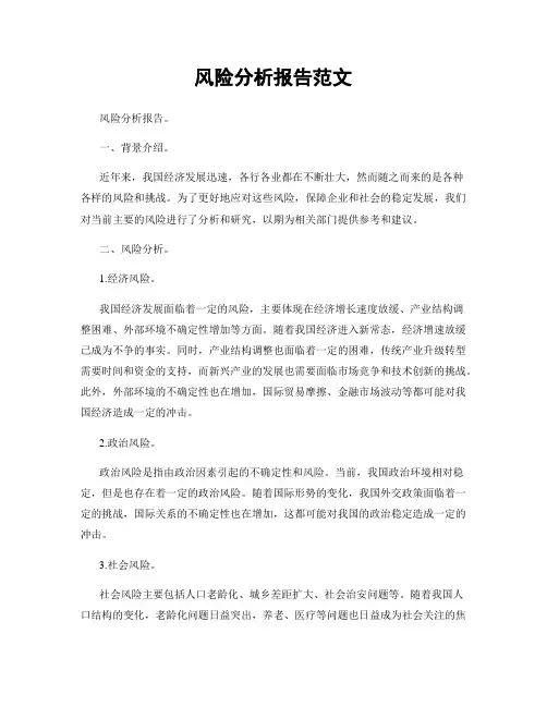 风险分析报告范文
