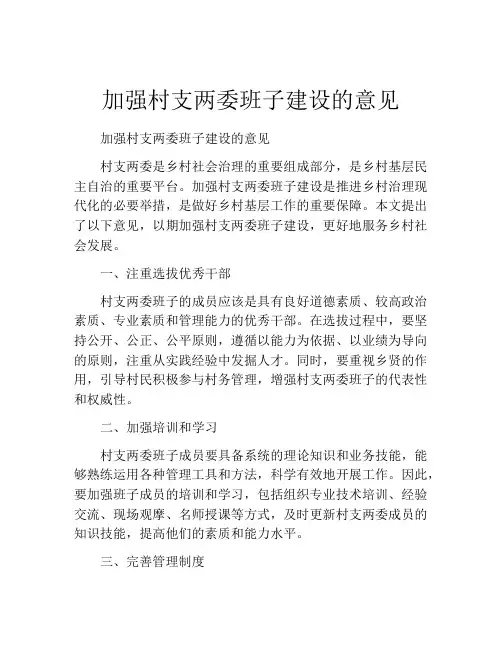 加强村支两委班子建设的意见