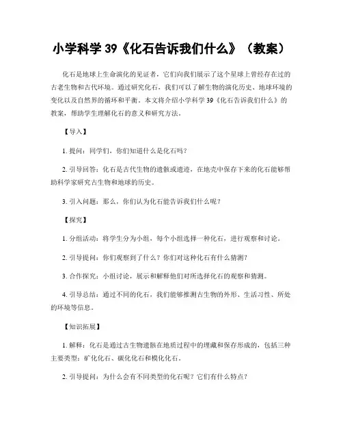 小学科学39《化石告诉我们什么》(教案)
