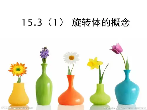 旋转体的概念