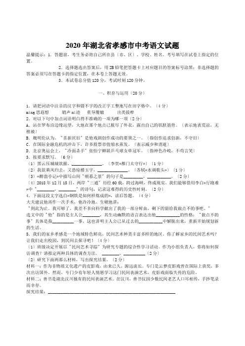 2020年湖北省孝感市中考语文试题