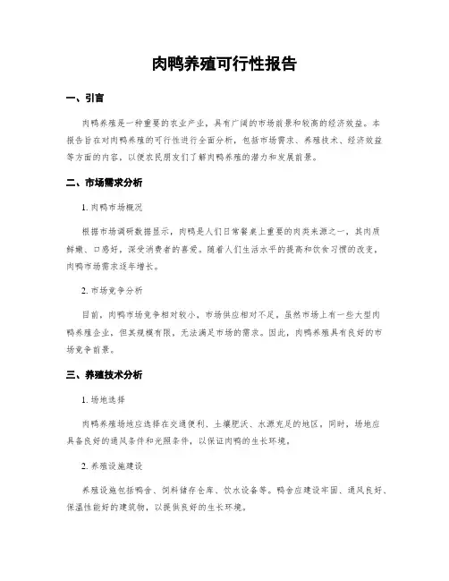 肉鸭养殖可行性报告